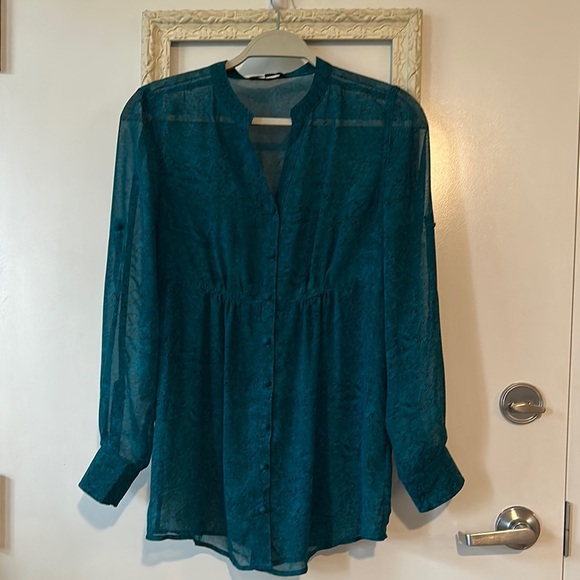 JESSICA | Vintage Sheer Blue Long Sleeve Buttoned Blouse - Picture 1 of 13